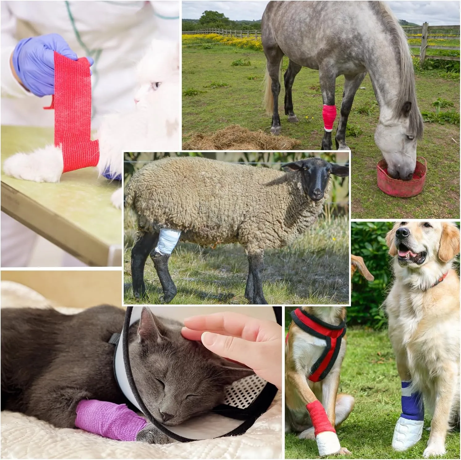 12/24/48pcs Self Adhesive Bandage Wraps, 1/2/3/4in 5 Yards, Multicolor/Skin Color, for Sports, Wrist, Ankle, Swelling and Vet Wrap